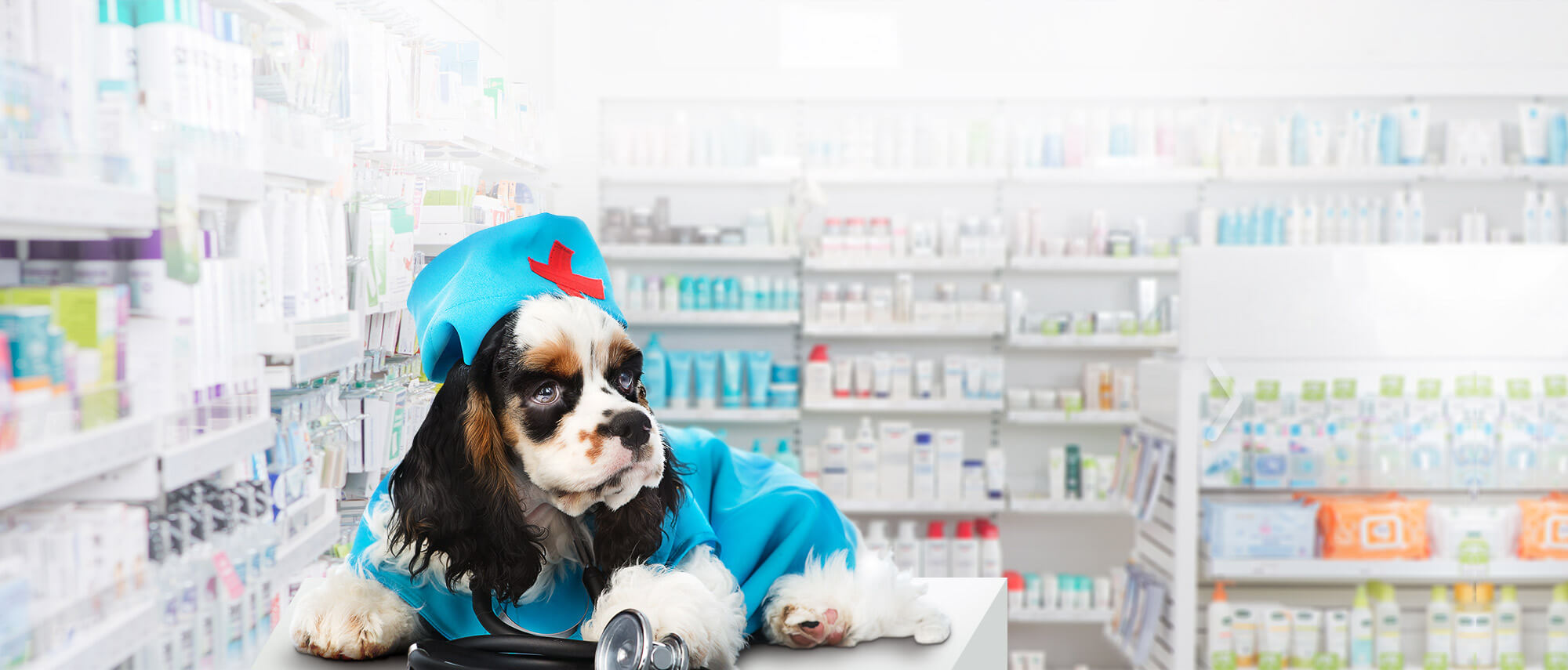 ветаптека для животных